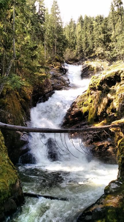 Mulvehill Creek Wilderness Inn And Wedding Chapel Revelstoke Eksteriør bilde
