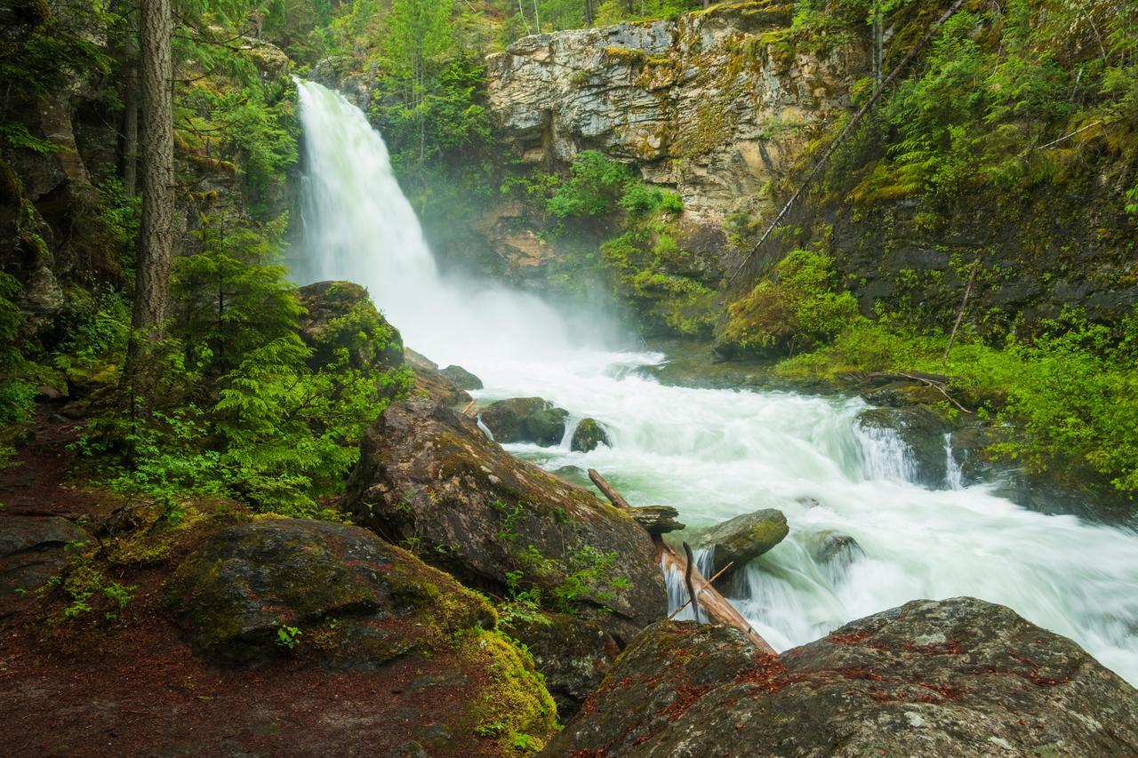 Mulvehill Creek Wilderness Inn And Wedding Chapel Revelstoke Eksteriør bilde