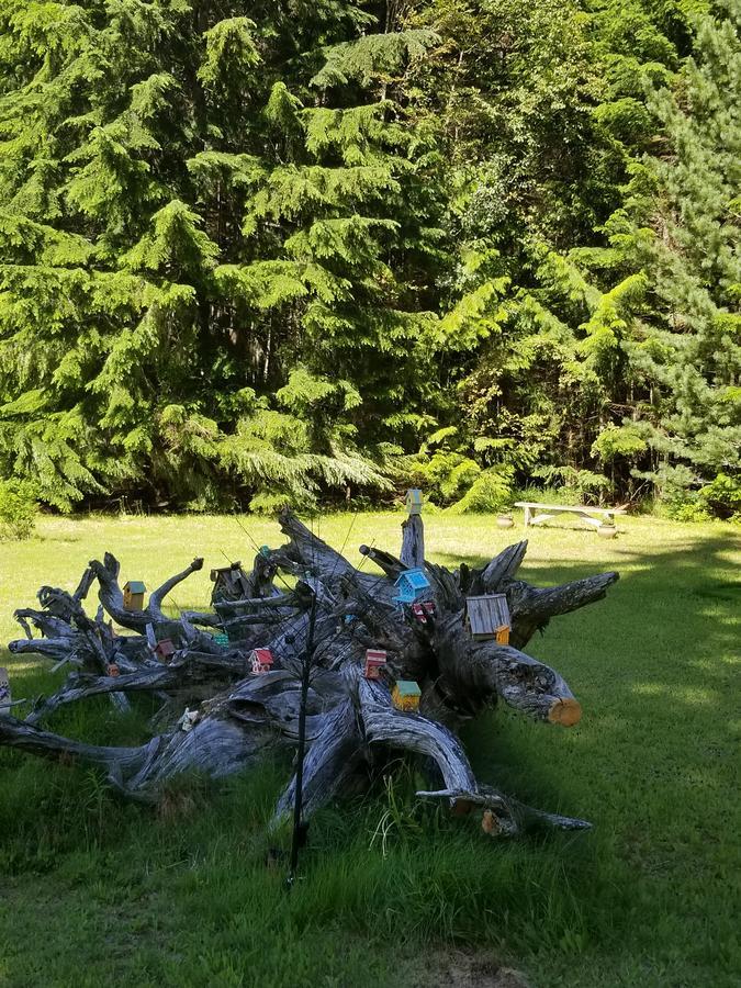 Mulvehill Creek Wilderness Inn And Wedding Chapel Revelstoke Eksteriør bilde