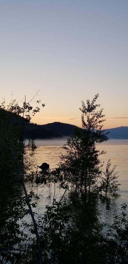 Mulvehill Creek Wilderness Inn And Wedding Chapel Revelstoke Eksteriør bilde