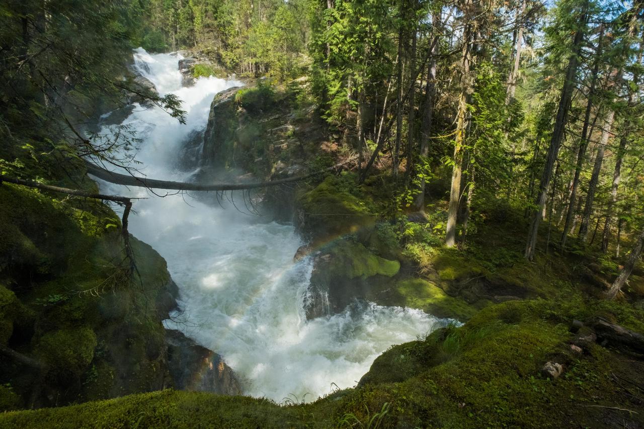 Mulvehill Creek Wilderness Inn And Wedding Chapel Revelstoke Eksteriør bilde