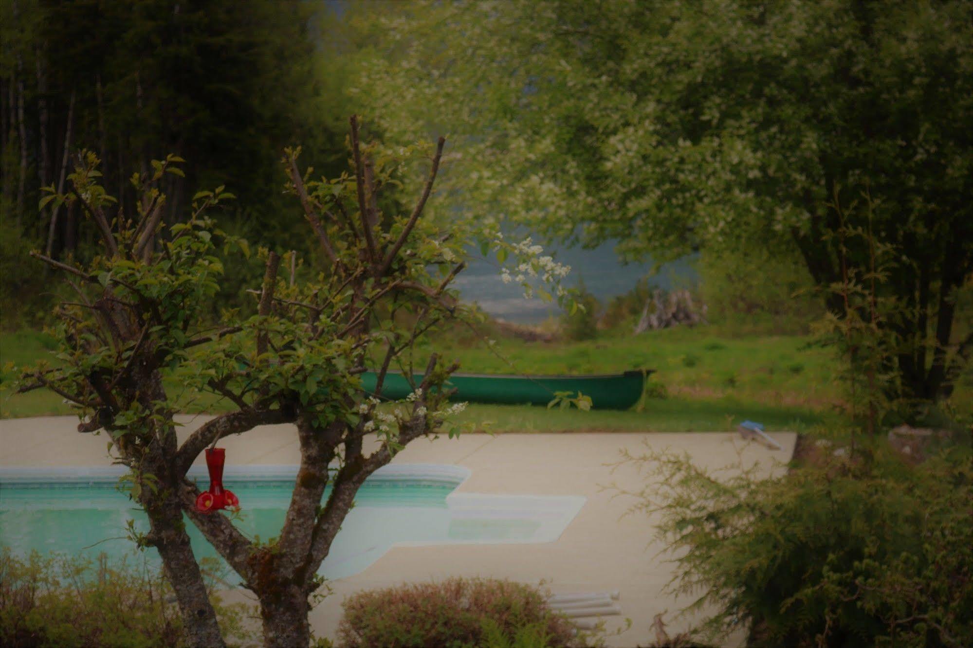 Mulvehill Creek Wilderness Inn And Wedding Chapel Revelstoke Eksteriør bilde